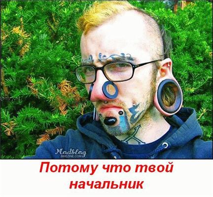 Найпозитивніший п'ятничний пост всіх часів і народів!