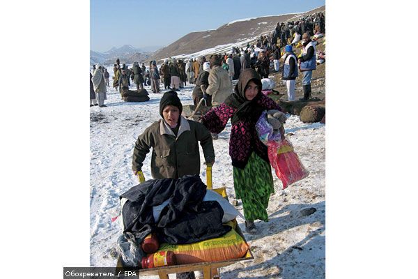 Январские морозы погубили 80 человек