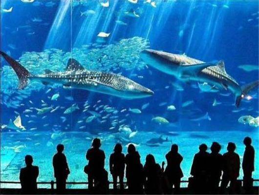 Гігантський акваріум в Окінаві. Динозаври у воді!