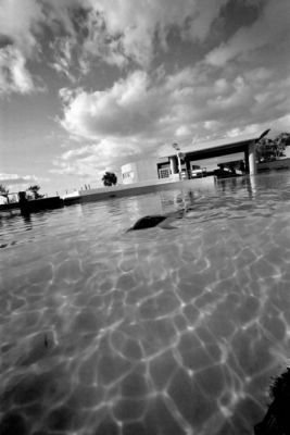 Гигантский аквариум в Окинаве. Динозавры в воде!