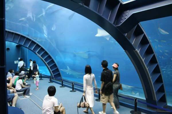 Гигантский аквариум в Окинаве. Динозавры в воде!