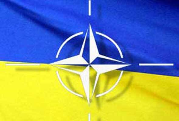 Генсек НАТО: Украина и Грузия не "доросли" до Альянса