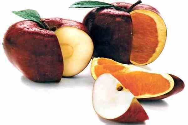 Страны ЕС сообща договорятся о ГМО