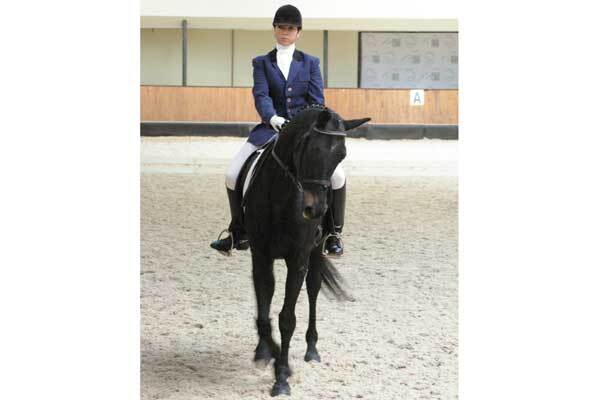 Киевский феномен конного спорта 