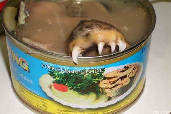 Все украинские рыбопродукты оказались отравой