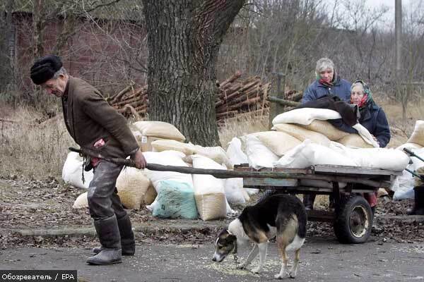 "Кризова" дієта українців