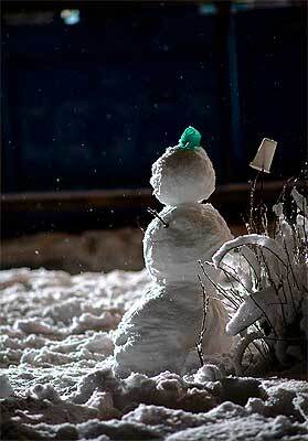 Новорічна ніч буде сніжною