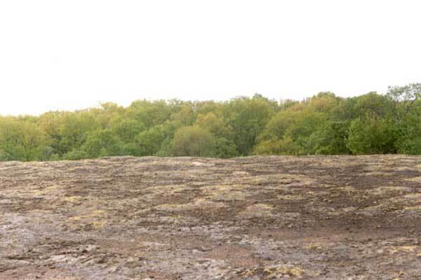 Ринок землі стабілізується до осені