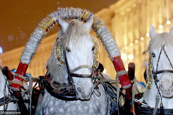 Як запалювали головну ялинку країни