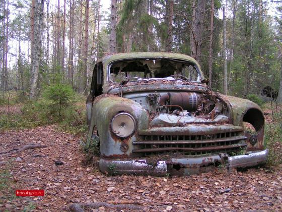 Лучшие автомобильные фотографии 2008