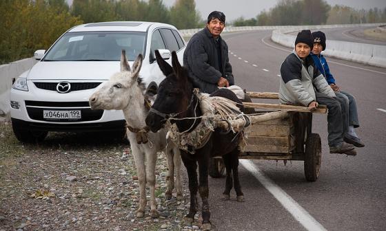 Лучшие автомобильные фотографии 2008