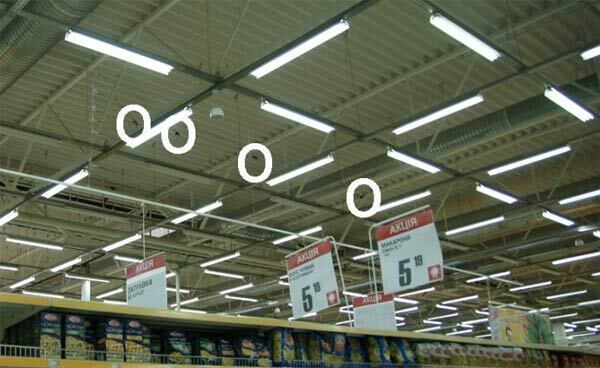 ШОК! Новогодняя гирлянда из воробьиных трупов (ФОТО)