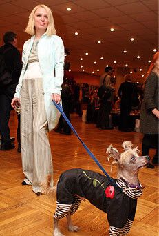 Российская киношная тусовка на раздаче "белых слонов"