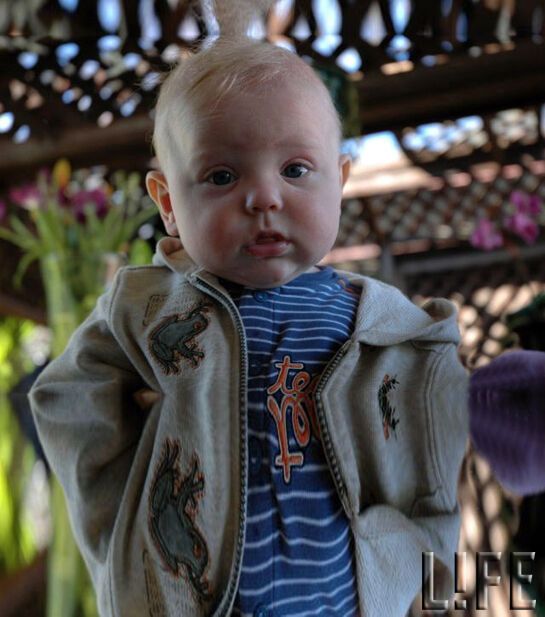 В США скончалась жена Константина Хабенского