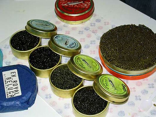 WWF опубликовал список "антиподарков"