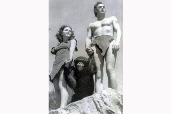 Шимпанзе из фильмов о Тарзане опубликует мемуары