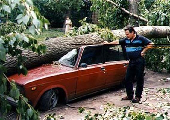 Фатальні автопригоди (133 фото)