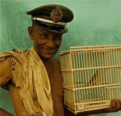 Пташиний тест на алкоголь на Карибах