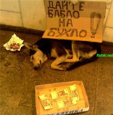 Подземный мир метро. Сталин, собаки и кони в пальто