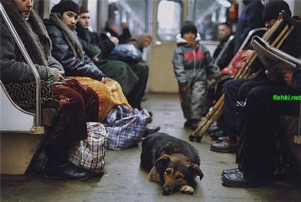 Подземный мир метро. Сталин, собаки и кони в пальто