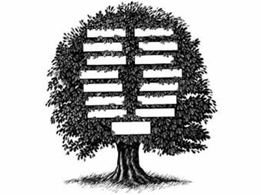 Барак Обама виявився далеким родичем Бреда Пітта