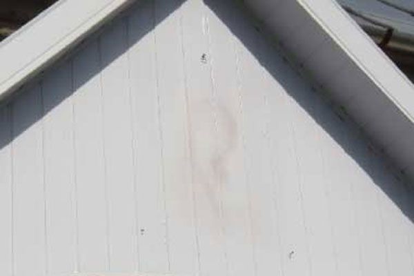 На пластику проявилася Божа Матір