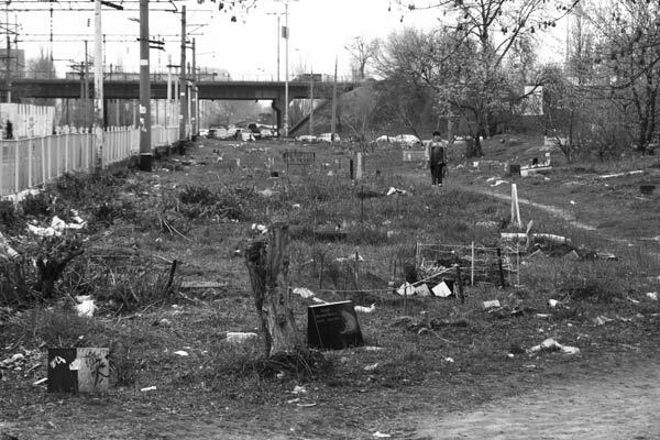 Безмерная любовь к животным  —  обернется катастрофой