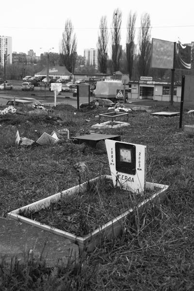 Безмерная любовь к животным  —  обернется катастрофой