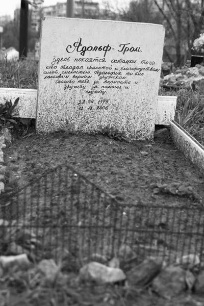 Безмерная любовь к животным  —  обернется катастрофой