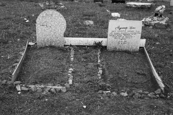 Безмерная любовь к животным  —  обернется катастрофой