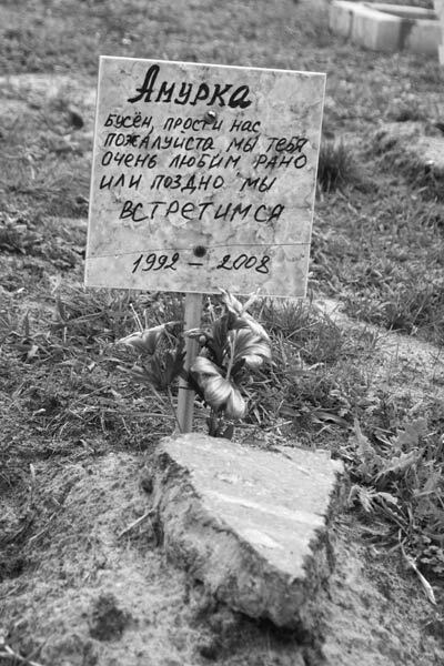 Безмерная любовь к животным  —  обернется катастрофой