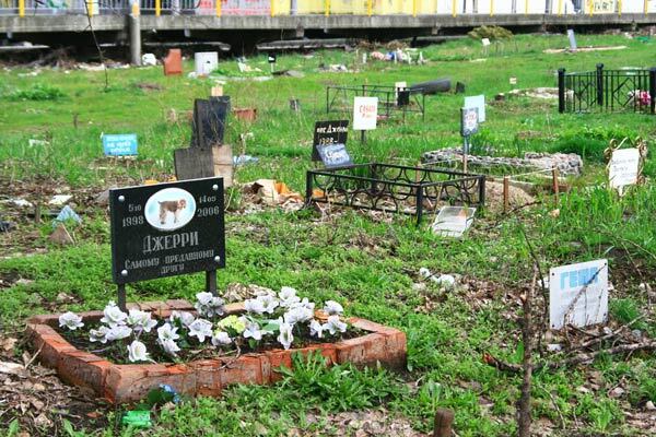 Безмерная любовь к животным  —  обернется катастрофой