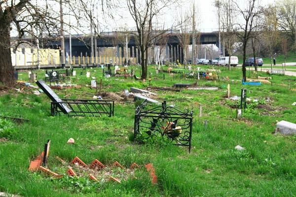 Безмерная любовь к животным  —  обернется катастрофой