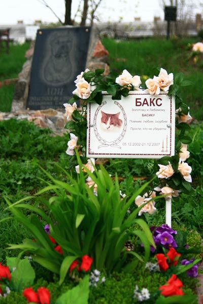 Безмерная любовь к животным  —  обернется катастрофой