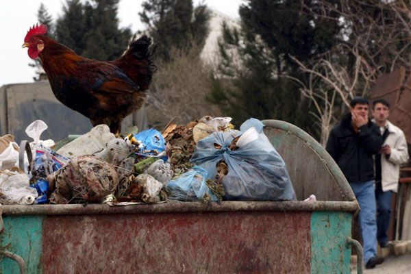 Названий найбрудніший мегаполіс в світі