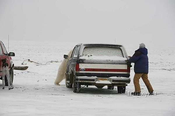 Як Мишка хотів папарацці з'їсти ...