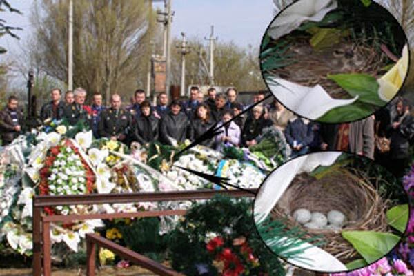 На могилі загиблого миротворця пташка звила гніздо