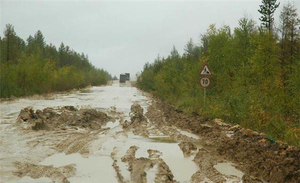 Фотографуй дурня, розвантажити дороги. Тепер дурні Харкова