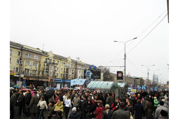 Янукович очолив антинатівський пікет в Києві