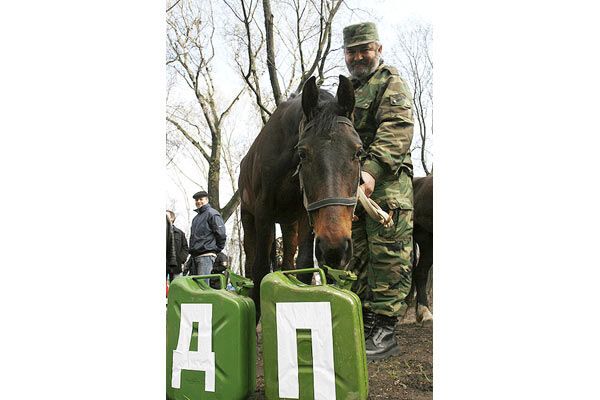 Кони, люди, Кабмин