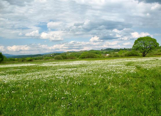 Морський очей і Долина нарцисів - природні чудеса України