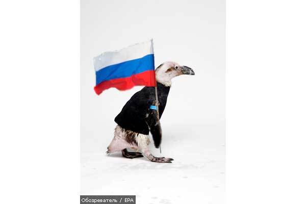 Канада обвинила Россию в присвоении Арктики