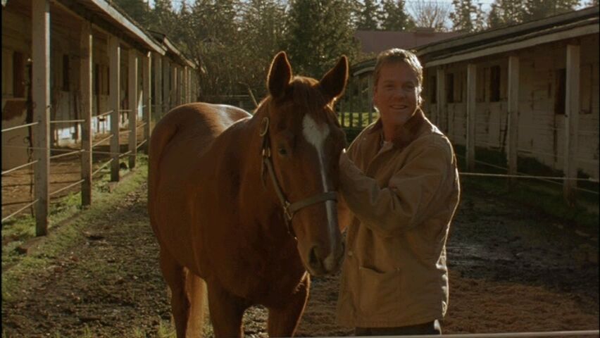 Кифер Сазерленд обрел свободу