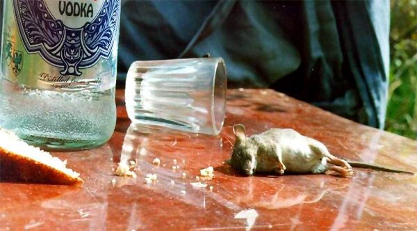 Україна заллє своєю горілкою всю Росію