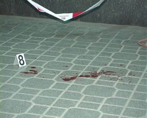 В центре Киева донетчанин убил агитатора
