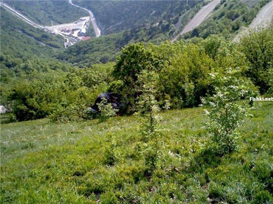 Незвичайна знахідка в кущах на лузі ...