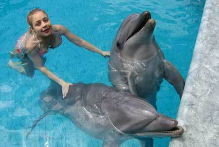 Из жизни водоплавающих