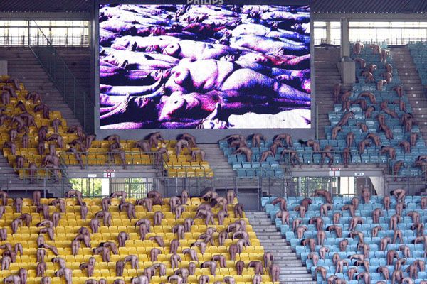 Сотни нудистов окупировали трибуны стадиона Евро (видео, фото)