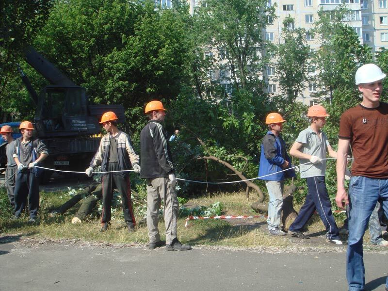 Злополучные Березняки оказались в центре скандала