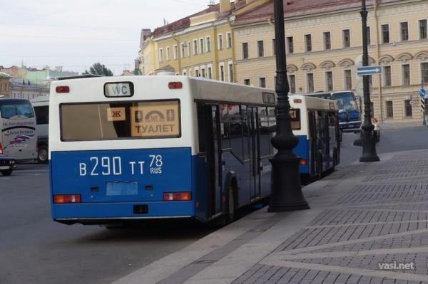 Жесть. Главная достопримечательность Дворцовой площади 